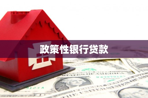 敦化政策性银行贷款