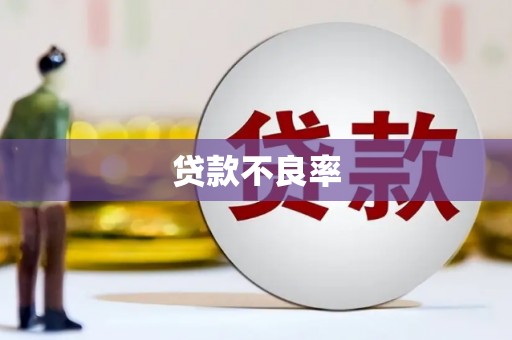 敦化贷款不良率