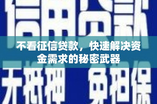敦化不看征信贷款，快速解决资金需求的秘密武器