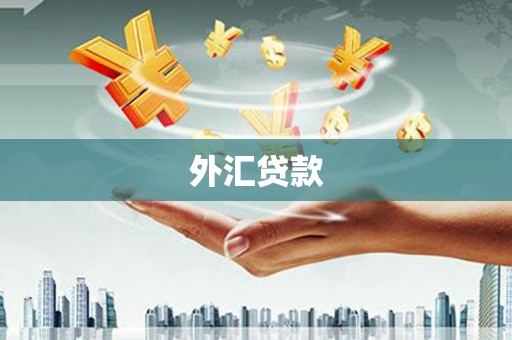 敦化外汇贷款