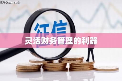 敦化灵活财务管理的利器