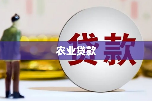 敦化农业贷款