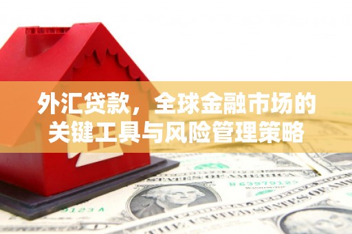 敦化外汇贷款，全球金融市场的关键工具与风险管理策略