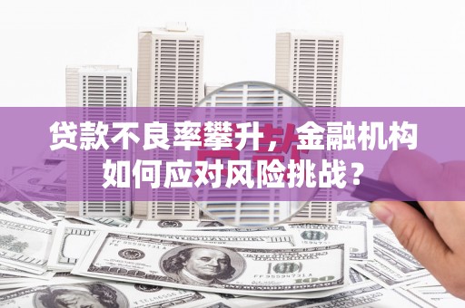 敦化贷款不良率攀升，金融机构如何应对风险挑战？