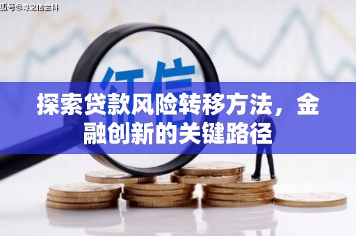 敦化探索贷款风险转移方法，金融创新的关键路径