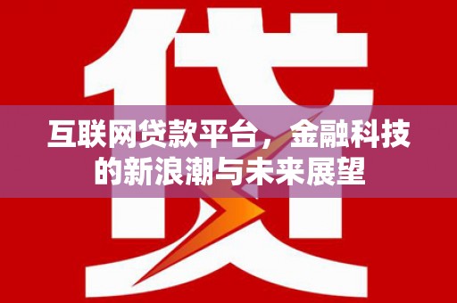 敦化互联网贷款平台，金融科技的新浪潮与未来展望