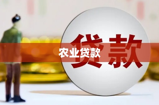 敦化农业贷款