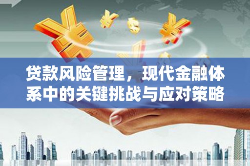 敦化贷款风险管理，现代金融体系中的关键挑战与应对策略