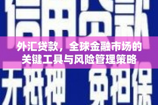 敦化外汇贷款，全球金融市场的关键工具与风险管理策略