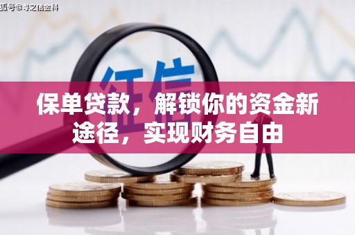 敦化保单贷款，解锁你的资金新途径，实现财务自由