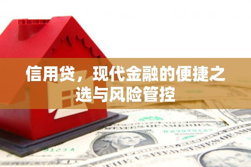 敦化信用贷，现代金融的便捷之选与风险管控