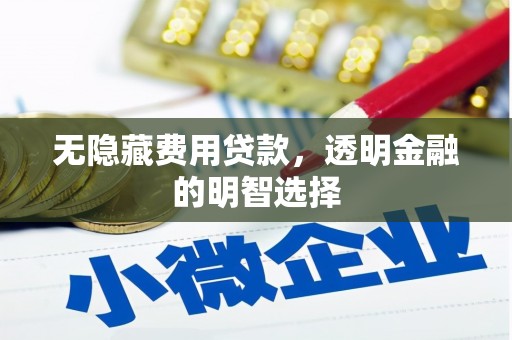 敦化无隐藏费用贷款，透明金融的明智选择