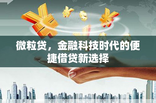 敦化微粒贷，金融科技时代的便捷借贷新选择