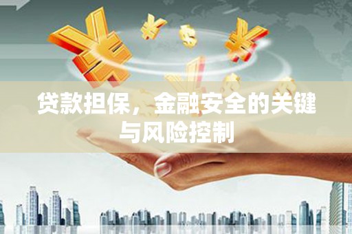 敦化贷款担保，金融安全的关键与风险控制