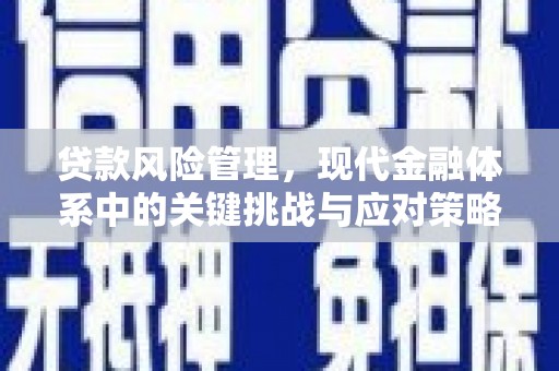 敦化贷款风险管理，现代金融体系中的关键挑战与应对策略