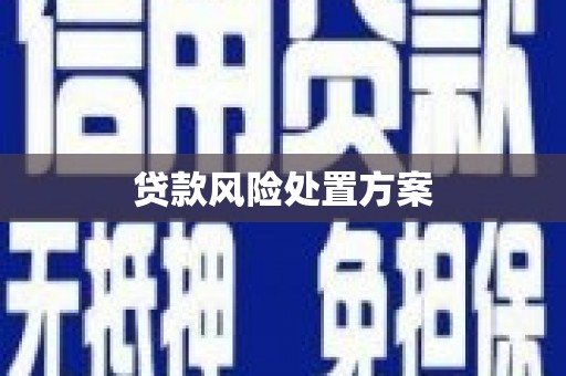 敦化贷款风险处置方案