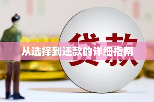 敦化从选择到还款的详细指南